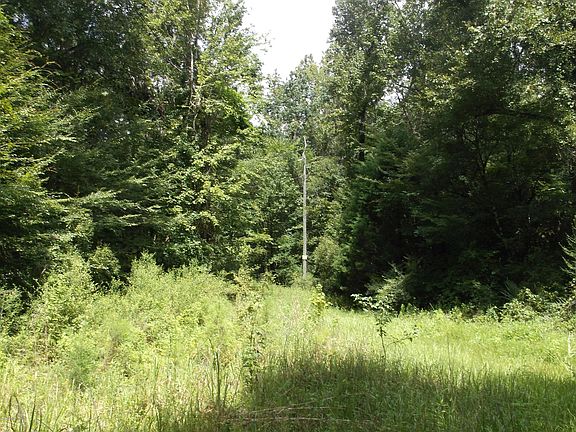 2nd image of 4009 Scenic Dr