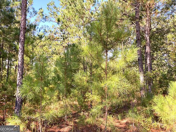 2nd image of 0 Firetower Rd