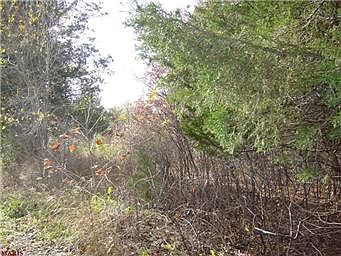 2nd image of 4193 Martin Rd
