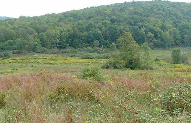 2nd image of 0 STATE ROUTE 22