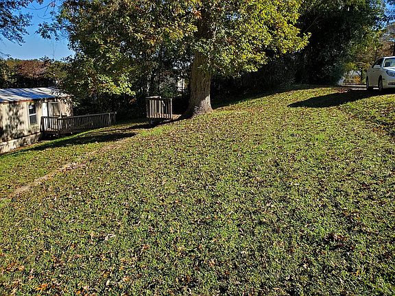 Front yard space & oak tree
