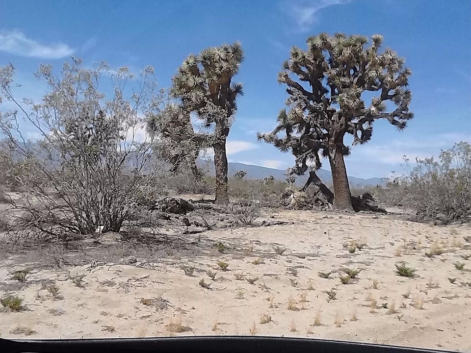 1st image of Mojave Dr