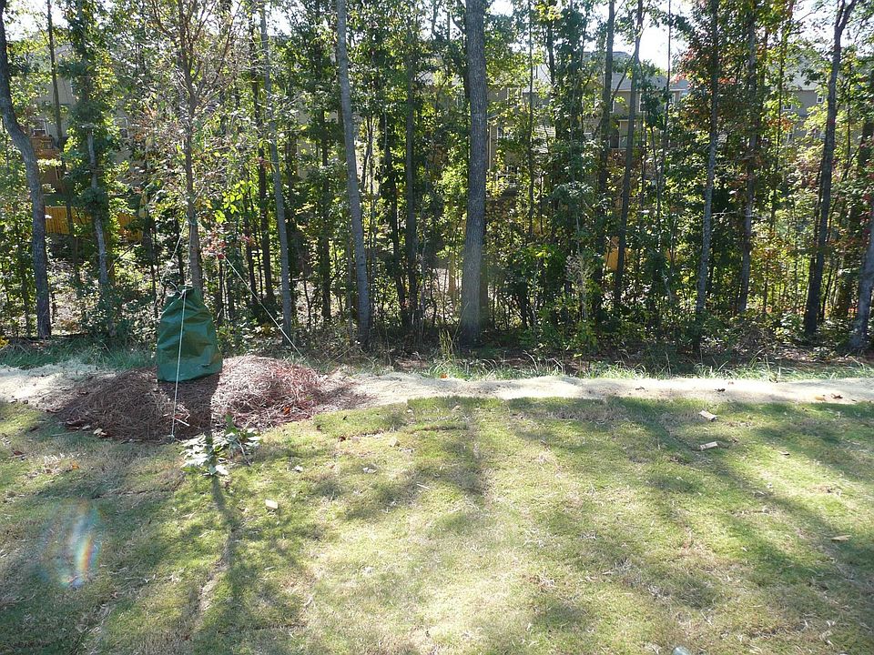Back yard view