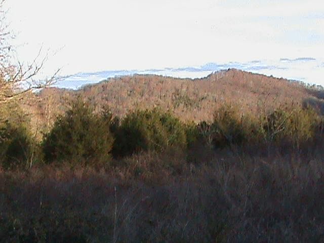 2nd image of 323 Green Hill Rd