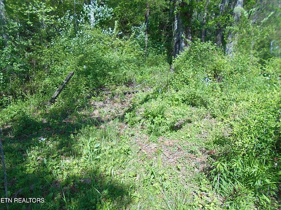 5th image of 675 Fitch Rd Lot 15