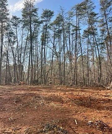 2nd image of 0 McDaniel Rd