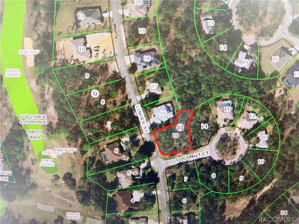 2 Coconut Ct, Homosassa, FL 34446