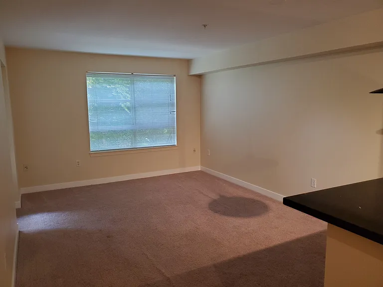 111 108th Ave NE #206 — Photo 37