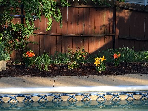 Landscaping updated every sp