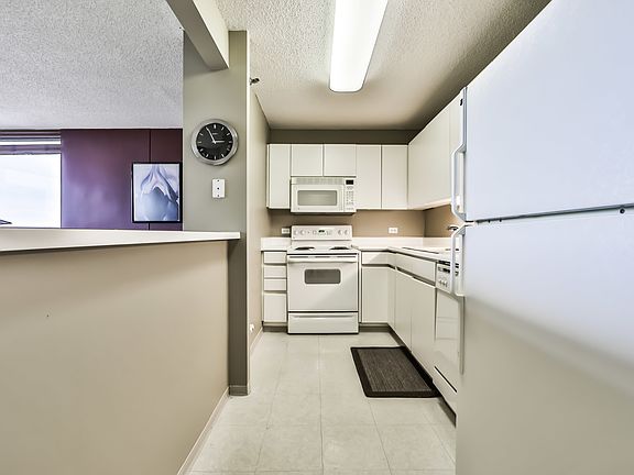 5th image of 440 N Wabash Ave APT 4102