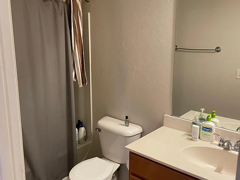636 Leopard Lily Dr — Photo 6