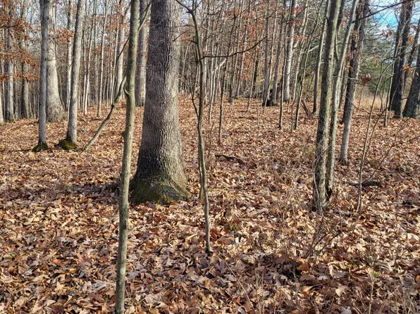 18791 E Wilson Rd SE, Oldtown, MD 21555