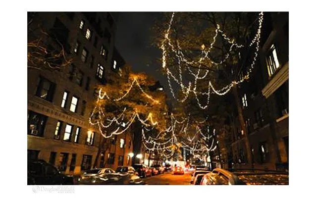 Rented by Douglas Elliman | media 18