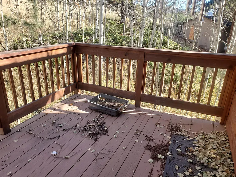 Back deck