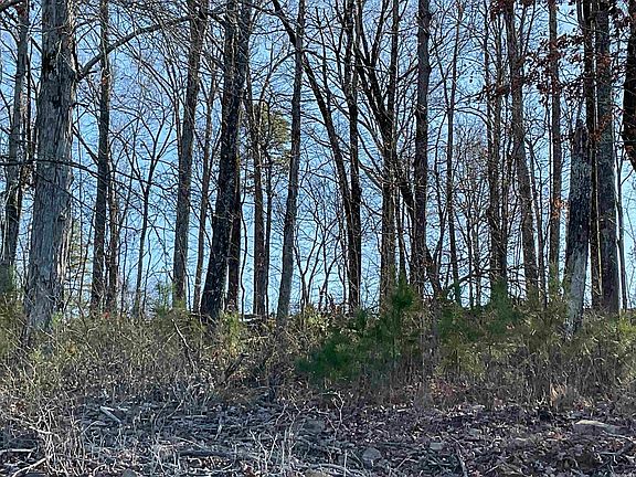3rd image of L14 Elrod Dr