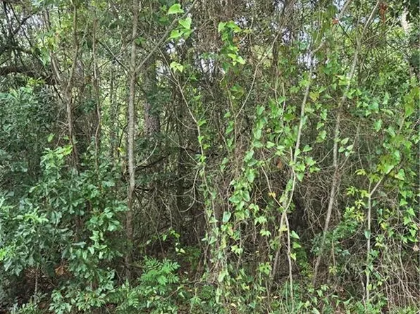 1412 Canal Rd Lot 13, Mobile, AL 36605