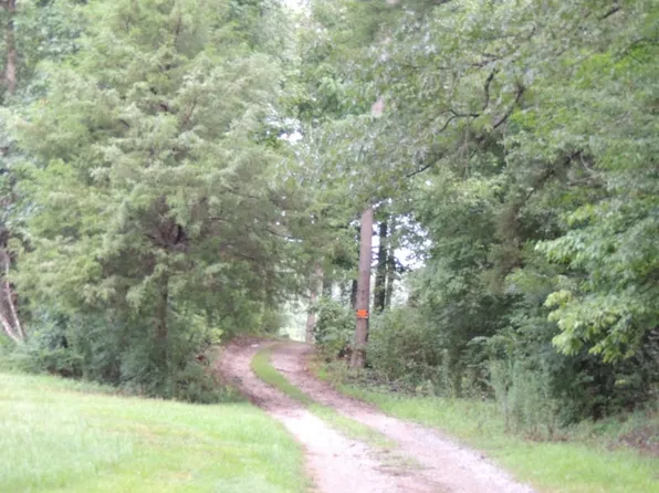 5321 Kings Dr, Adamsville, AL 35005