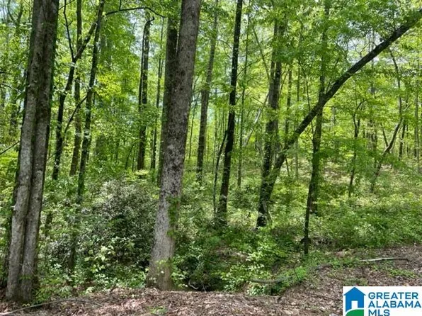 0 Gum Springs Rd #0, Sylacauga, AL 35151