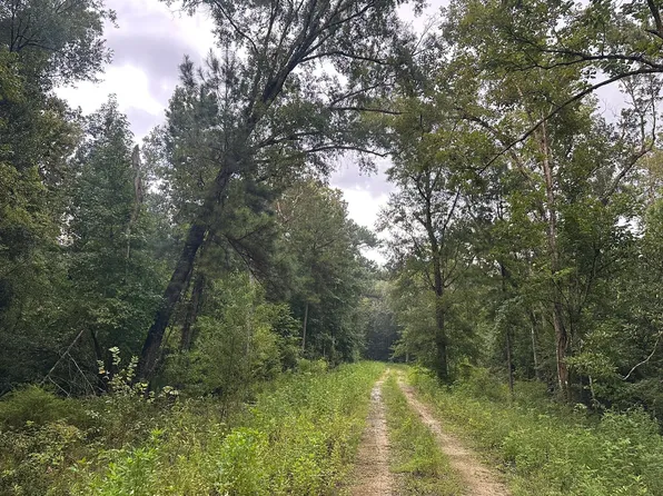County Road 381, Wewahitchka, FL 32465