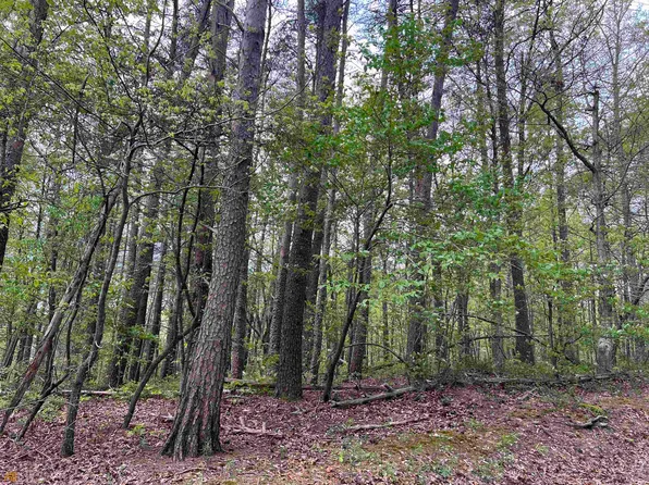 9 Deerfield Ests, Fairmount, GA 30139