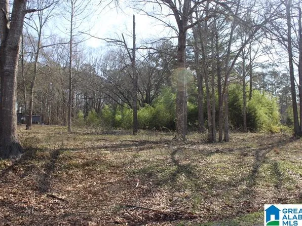 Cove Rd #20, Wilsonville, AL 35186