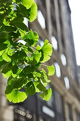 Rented by R New York