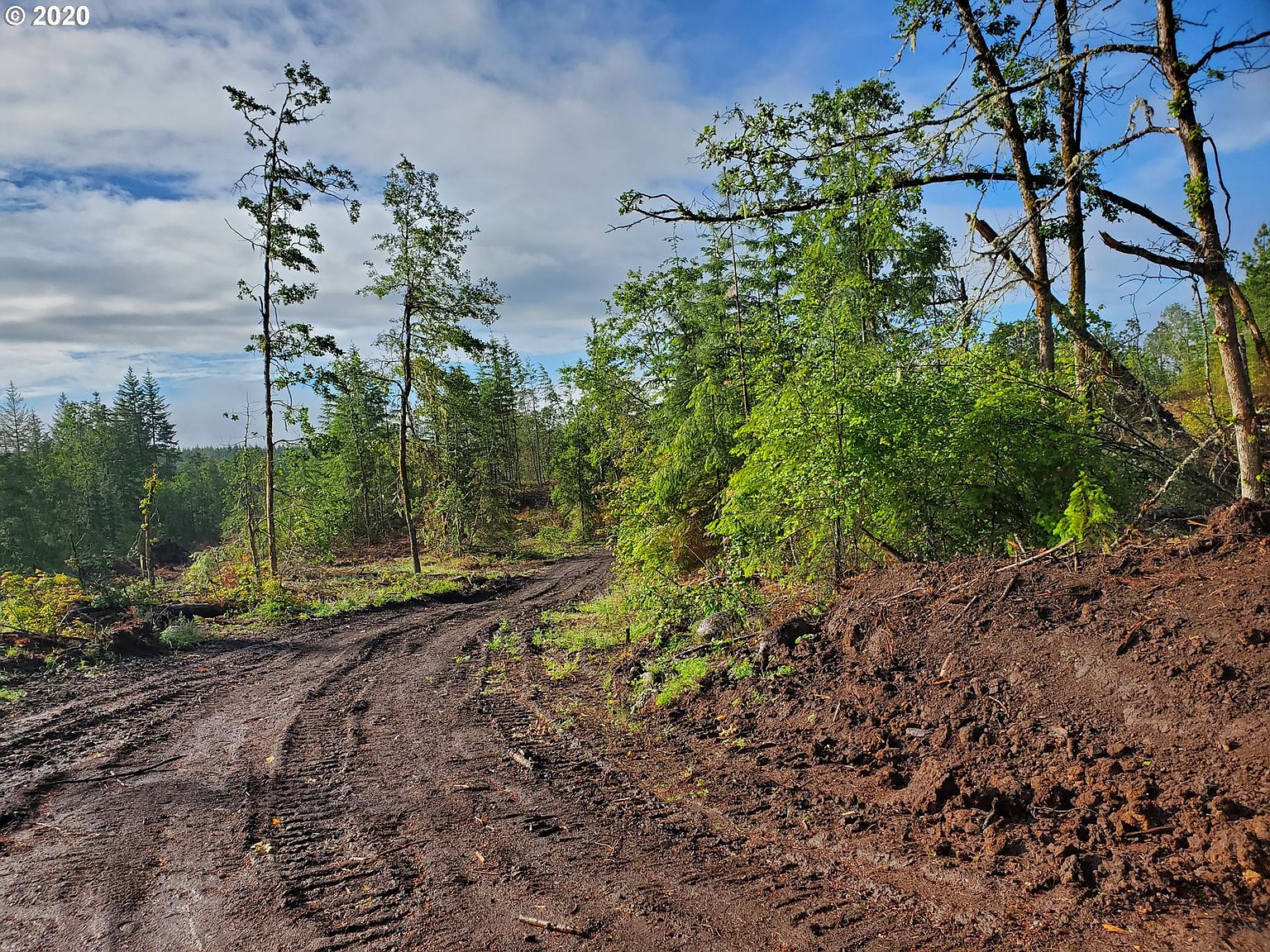 Columbia Hills State Park Dallesport 2020 All You Need To Know Before You Go With Photos Tripadvisor