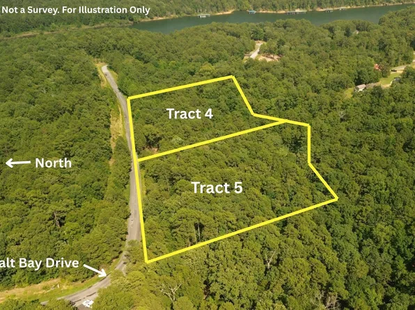 Tracts 3 & 4 Cobalt Bay Dr, Shirley, AR 72153