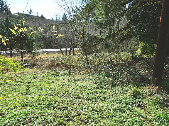 5th image of 8307 Salmon River Hwy
