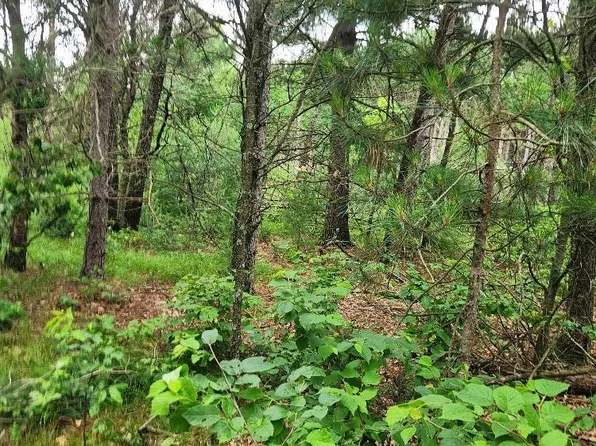 W3190 4TH STREET EAST, Nekoosa, WI 54457