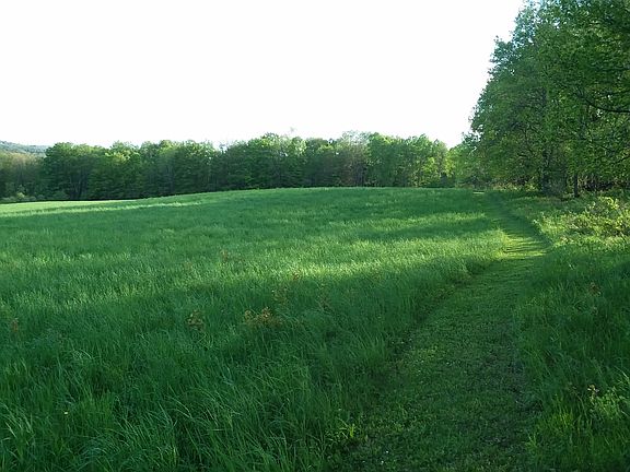 Farm Field
Walking Path