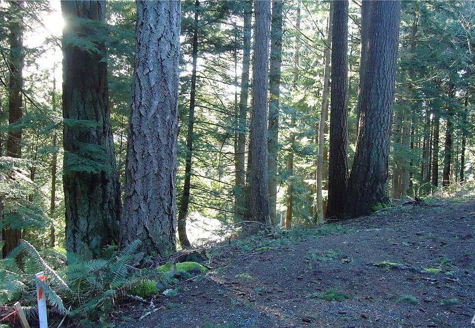 2nd image of 16 Gray Birch Ln