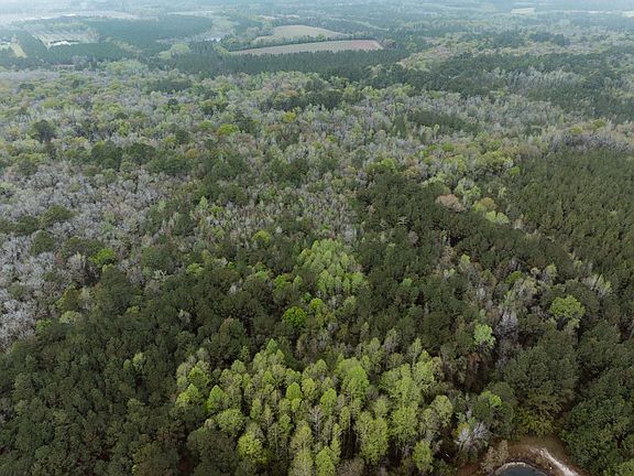 4th image of 2324 Old Screven Rd