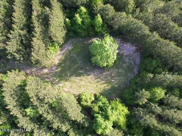 2354 Willie Redden Rd, Greensburg, LA 70441