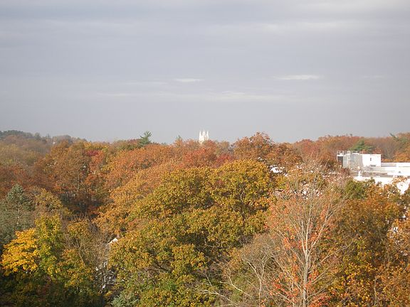 View to the north