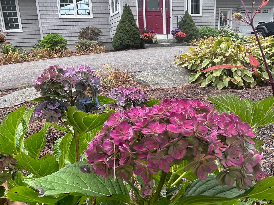 Front of house