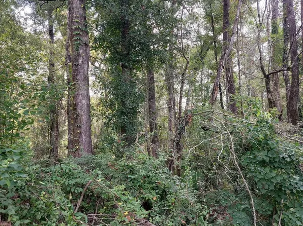 Remington Rd, Denham Springs, LA 70706