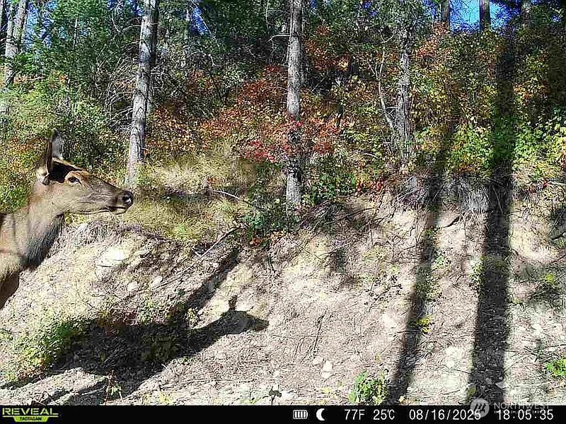 5th image of 1733 Old CC Road