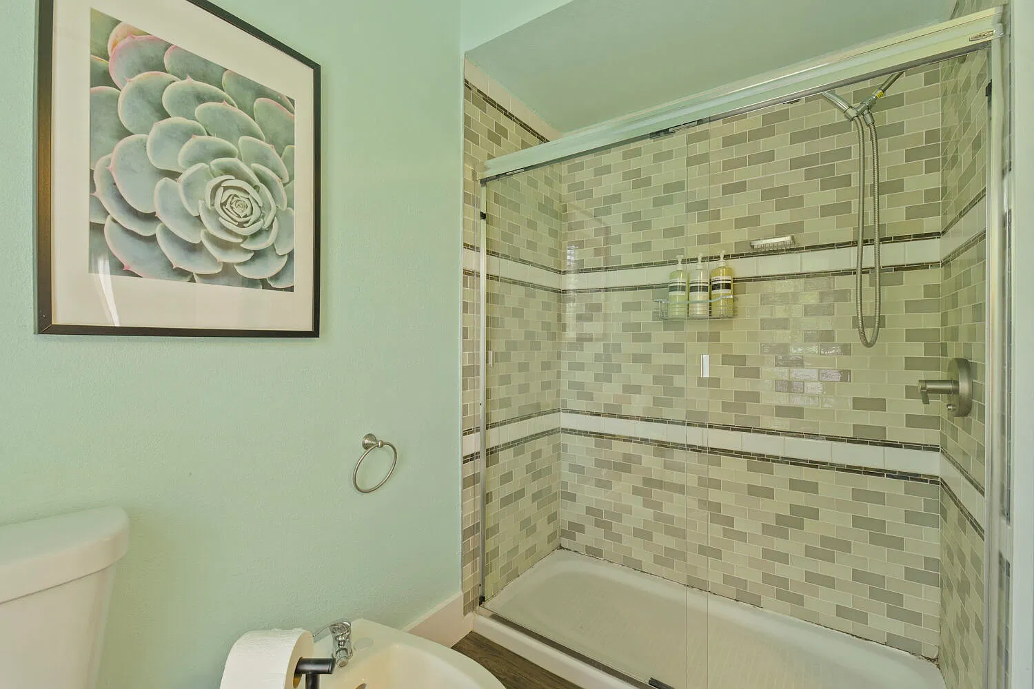 1 bed, 801 sqft, $1,175 — Photo 2