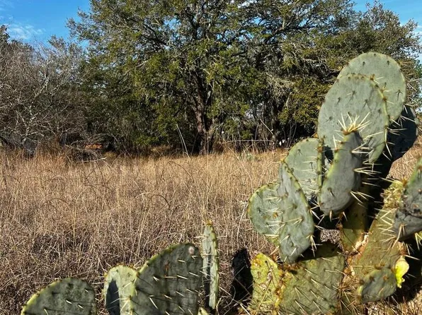 LOT 28 Mariposa Dr LOT 28, Poteet, TX 78065