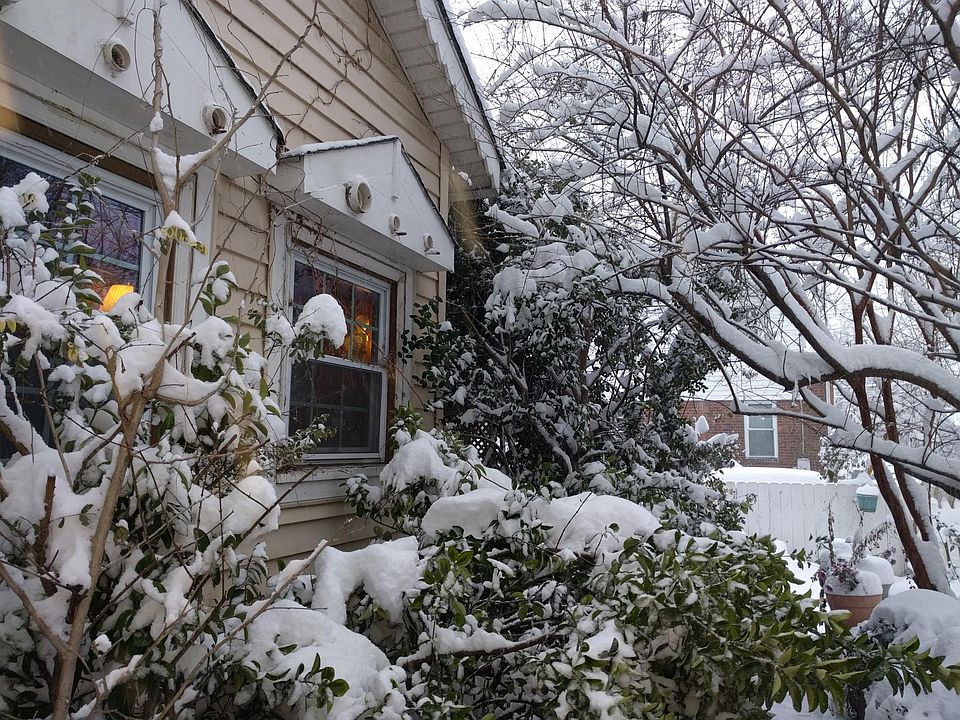 2nd image of 809 N Abingdon St