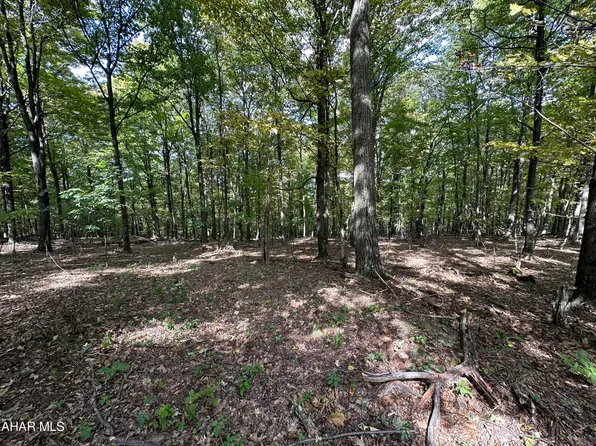 LOT 7 Glade Pike, Manns Choice, PA 15550