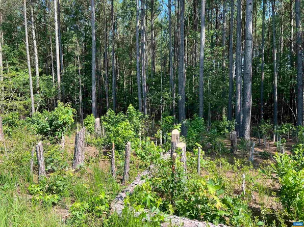 LOT 6 Richmond Rd, Amelia Court House, VA 23002