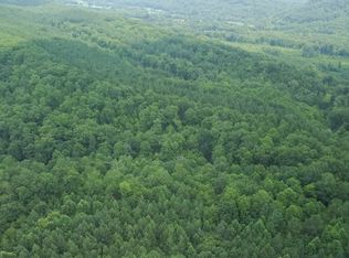 Hurricane Valley Rd, Ten Mile, TN 37880