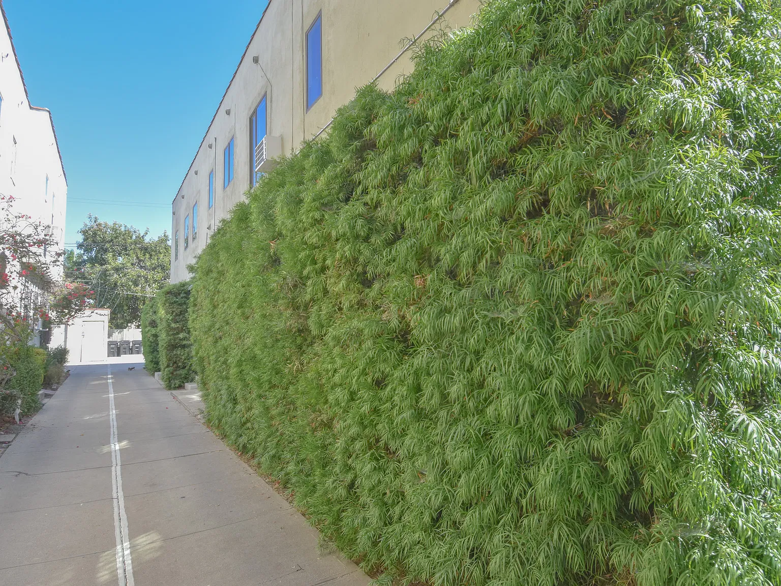 424 N Ogden Dr — Photo 2
