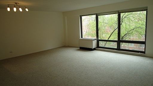 4th image of 1115 S Plymouth Ct APT 308