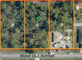 0 Wood Owl Ave #20, Brooksville, FL 34614