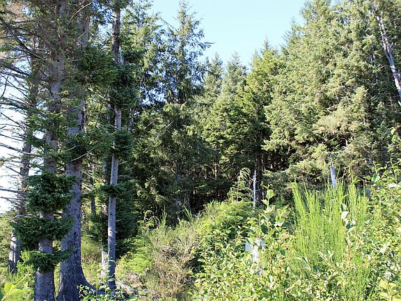 4th image of 4300 SE 41st St Lot 23