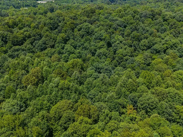 LOT 14 Bell Hollow Rd, Cannelton, IN 47520