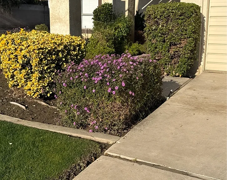 3200 El Encanto Ct #1 — Photo 29